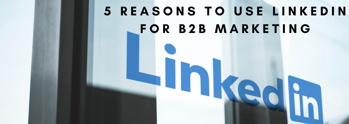Featured image for “Top 5 Reasons Why LinkedIn is So Popular in B2B Marketing”
